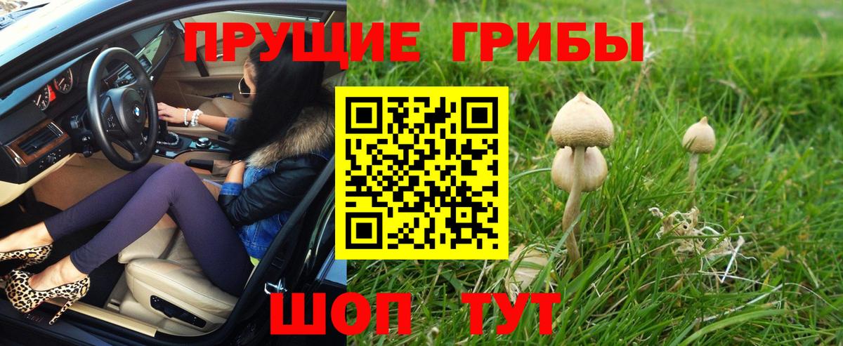 Галлюциногенные грибы мицелий Вичуга